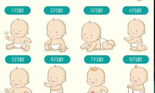 奥曲肽注射液说明书 下载网 :分享奥曲肽的临床用药说明书-奥曲肽注射方法与部位知识